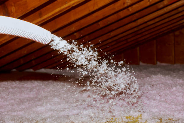Best Energy-efficient Insulation  in Pearland, TX