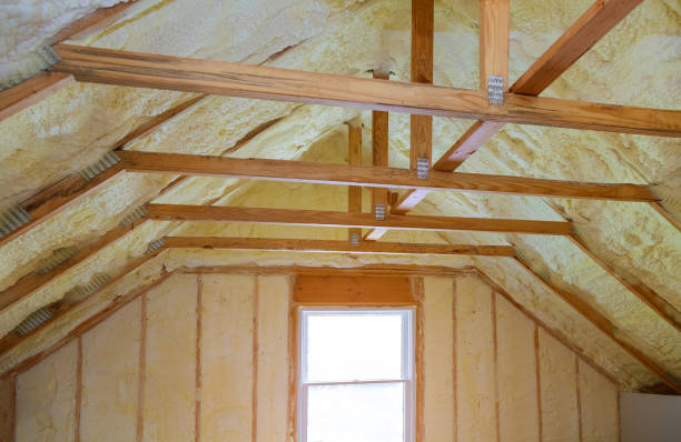 Best Fiberglass Insulation  in Pearland, TX