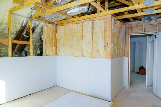 Best Insulation Repair Services  in Pearland, TX