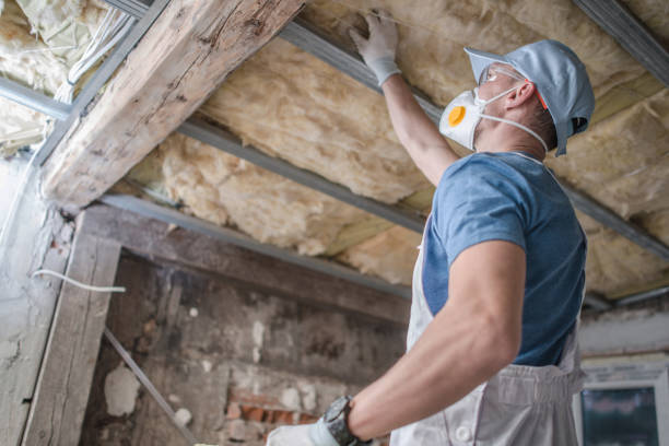 Best Insulation Inspection Services  in Pearland, TX