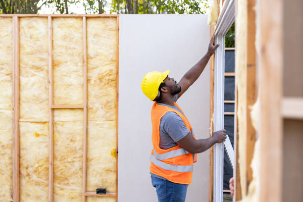 Best Spray Foam Insulation  in Pearland, TX