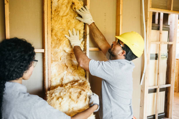 Best Commercial Insulation Contractor  in Pearland, TX